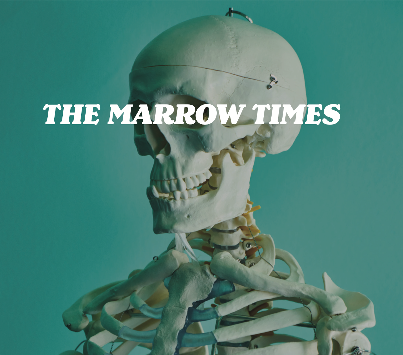 Marrow Times Magazine