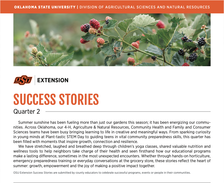 Q2 Success Stories Newsletter